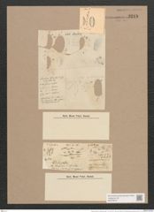 Amphora ovalis var. pediculus (Kuetz.) V. H. (de-Toni-Nr.: Genus 36, Species 1672) Zeichnungen Sammlung Grunow Nr. 3218 (NHMW-BOT-W0370674)